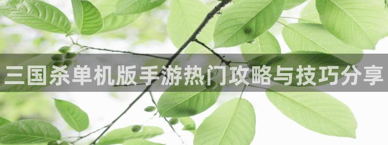 星欧娱乐登录地址：三国杀单机版手游热门攻略与技巧分享
