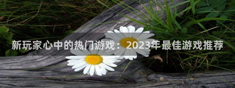 星欧娱乐4招商：新玩家心中的热门游戏：2023年最佳游戏推荐