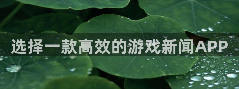 星欧娱乐手机网页版登录：选择一款高效的游戏新闻APP
