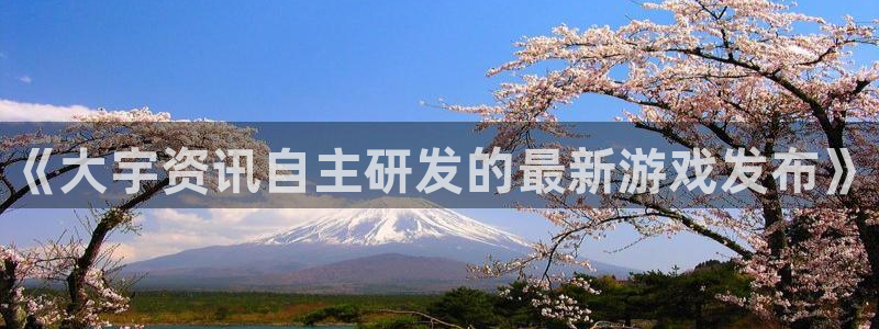 星欧娱乐官方登录网址：《大宇资讯自主研发的最新游戏发布》