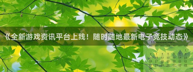 星欧娱乐2登录：《全新游戏资讯平台上线！随时随地最新电子竞技