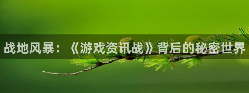 星欧娱乐升级5994月：战地风暴：《游戏资讯战》背后的秘密世